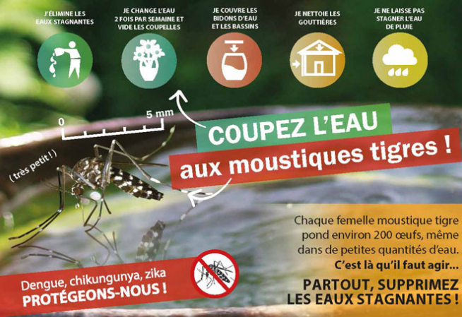 doc180722 Carte postale stop moustiques NIV1 2018 678 454